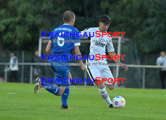 Saison-23/24-Kreisliga-Sinsheim-vs-SV-Reihen-vs-TSV-Waldangelloch (© Siegfried Lörz)